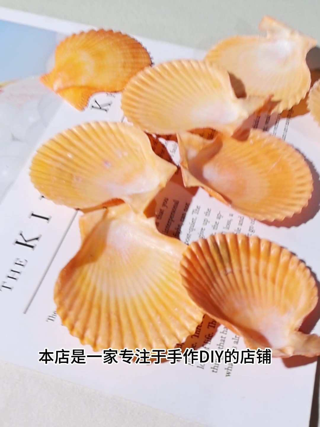 Best Yellow scallop shell fish - огляд і ціна Marine Fish Tank