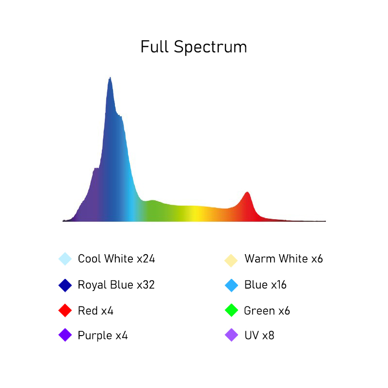 A8SE II Max And Blue 240W Full - огляд і ціна Marine Coral
